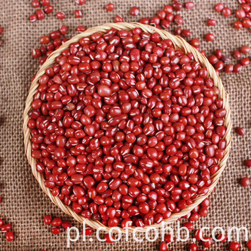Odżywianie Mała Czerwona Fasola Nutrition Small Red Beans